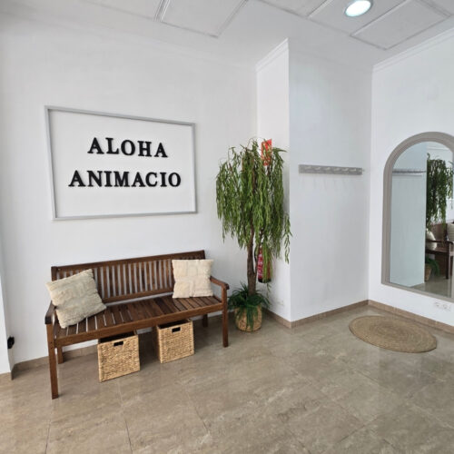 Alquiler local eventos Chiva