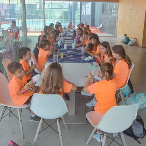 Talleres Aloha Animacio