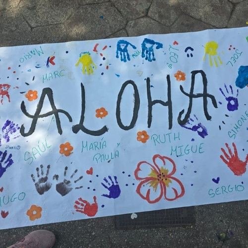 Actividades animacion colegios aloha 27