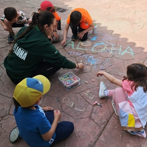 Animacion campus aloha animacio 4
