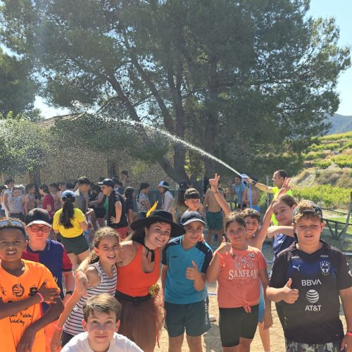 Actividades agua Aloha
